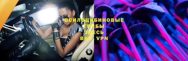 винт Пыталово