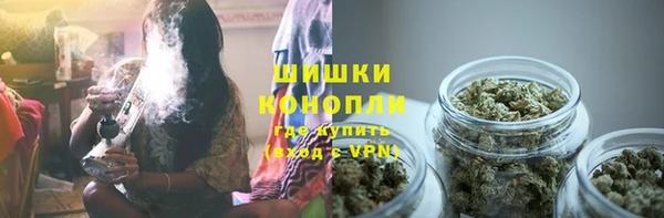 тгк Лиски