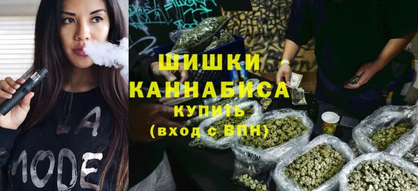 тгк Лиски
