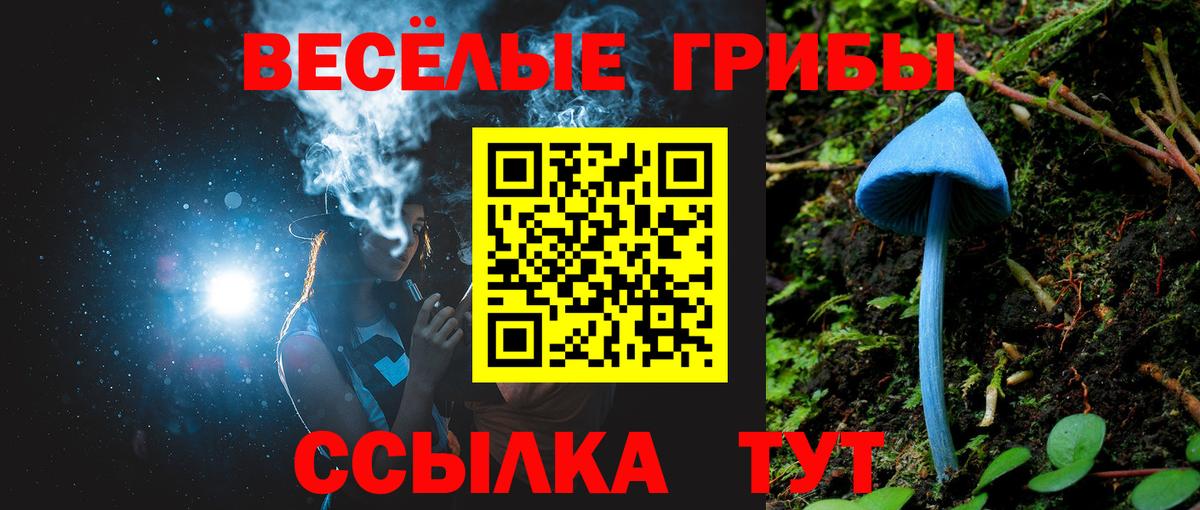 Рязань  Галлюциногенные грибы Magic Shrooms  Вход с VPN  Псилоцибиновые грибы MAGIC MUSHROOMS 