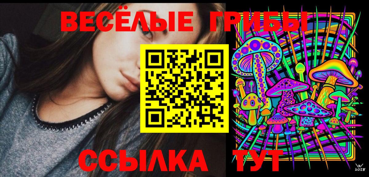 Галлюциногенные грибы Psilocybe Рязань